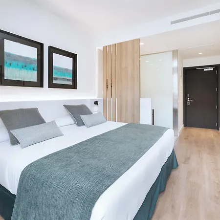 Alexandre Fira Congress